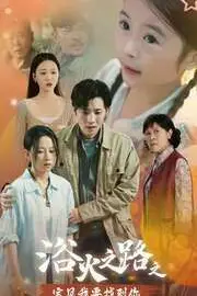 《浴火之路之宝贝我要找到你》封面