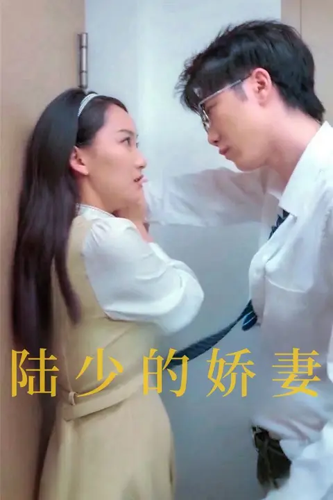 《陆少的娇妻》封面