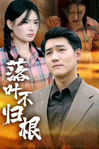 《落叶不归根》封面