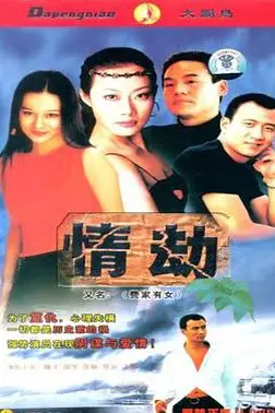 《费家有女》封面