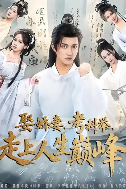 《娶娇妻，考科举，走上人生巅峰》封面