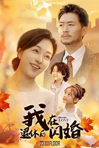 《我在退休后闪婚》封面