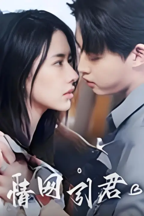 《情网引君》封面