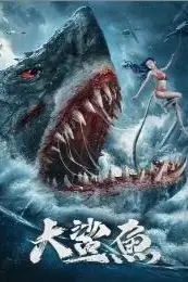 《大鲨鱼》封面