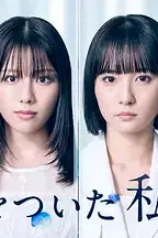 《说谎的我们》封面