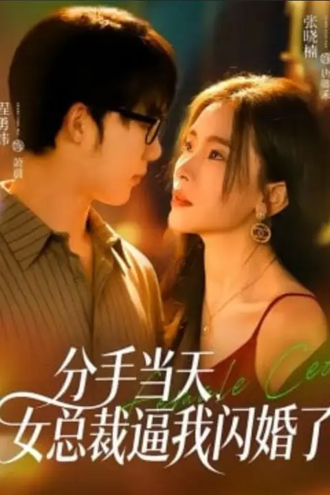 《分手当天，女总裁逼我闪婚了》封面