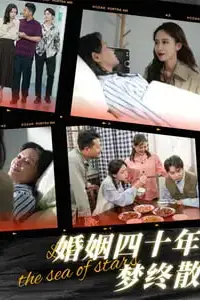 《婚姻四十年梦终散》封面