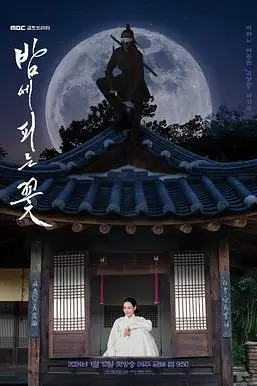 《夜晚开的花》封面