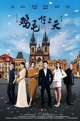 《鸡毛飞上天》封面