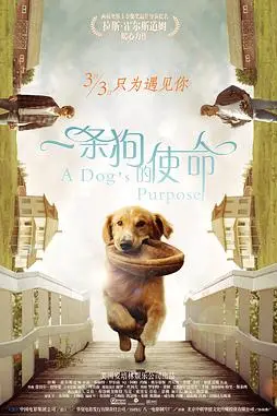 《一条狗的使命(国语版)》封面