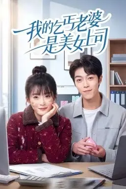 《我的乞丐老婆是美女上司》封面