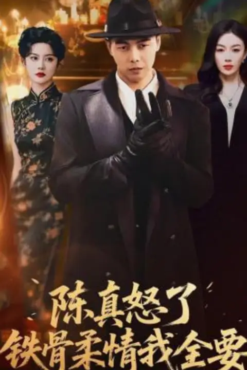 《陈真怒了铁骨柔情我全要》封面