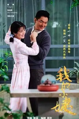 《我的小姨》封面