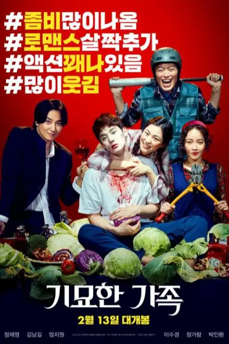 《奇妙的家族》封面