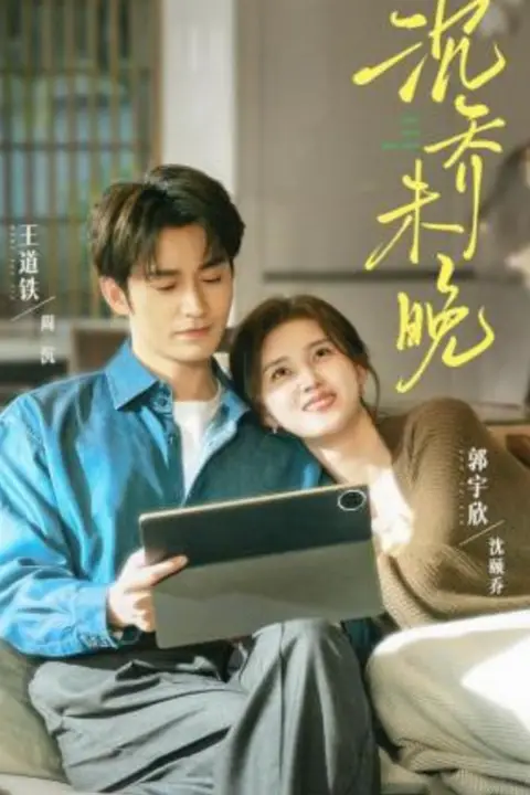 《沉乔未晚》封面