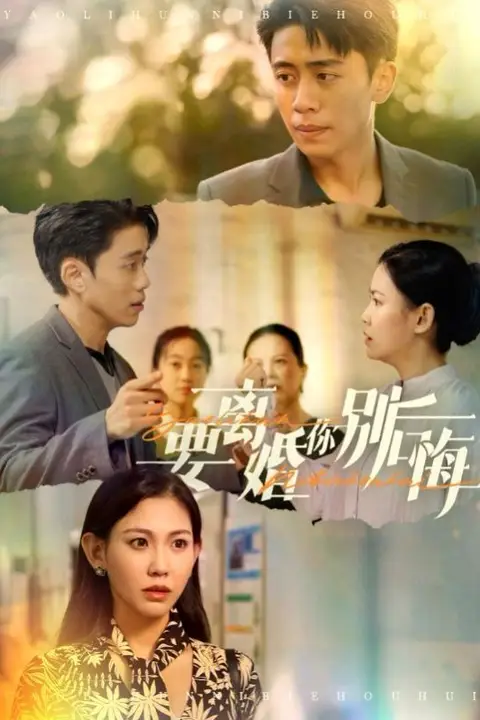 《要离婚你别后悔》封面