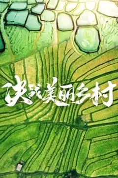 《决战美丽乡村》封面