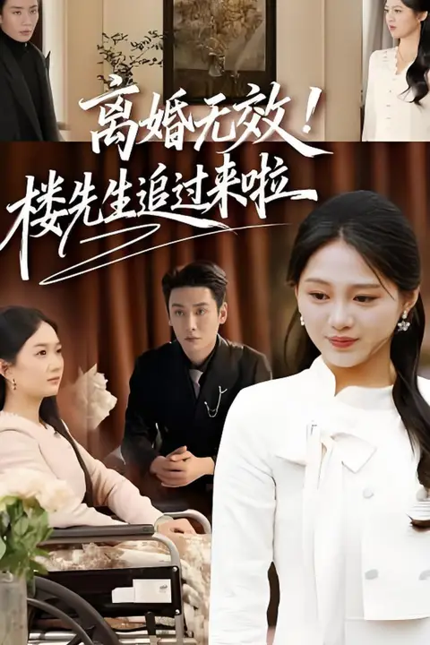 《离婚无效!楼先生追过来啦》封面