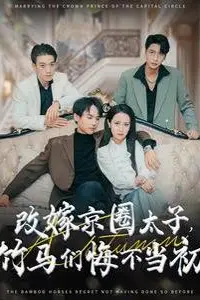 《改嫁京圈太子竹马们悔不当初》封面