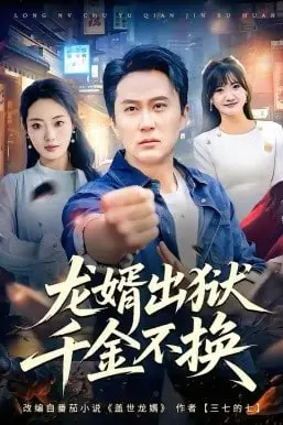 《龙婿出狱，千金不换》封面
