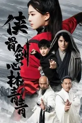 《侠骨剑心林青青》封面
