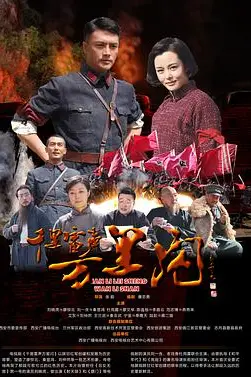 《千里雷声万里闪》封面