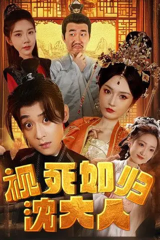 《视死如归沈大人》封面