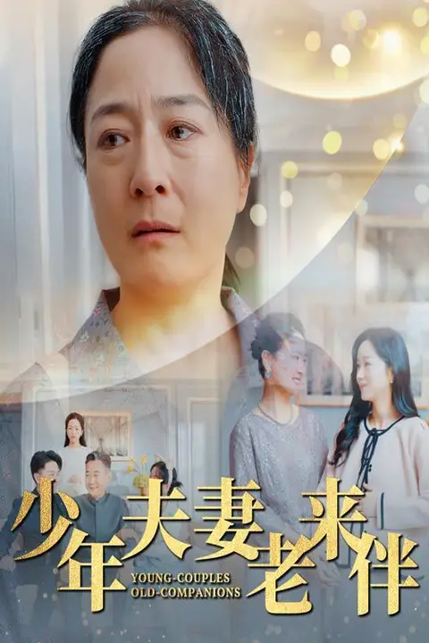 《少年夫妻老来伴》封面