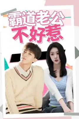 《霸道老公不好惹》封面