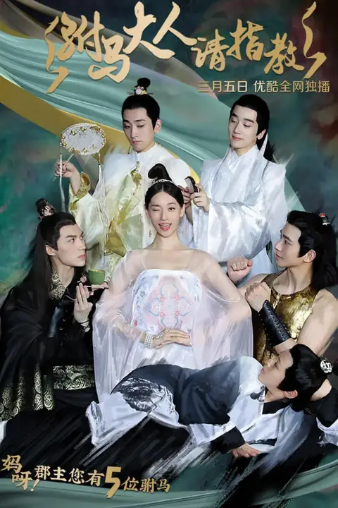 《驸马大人请指教》封面