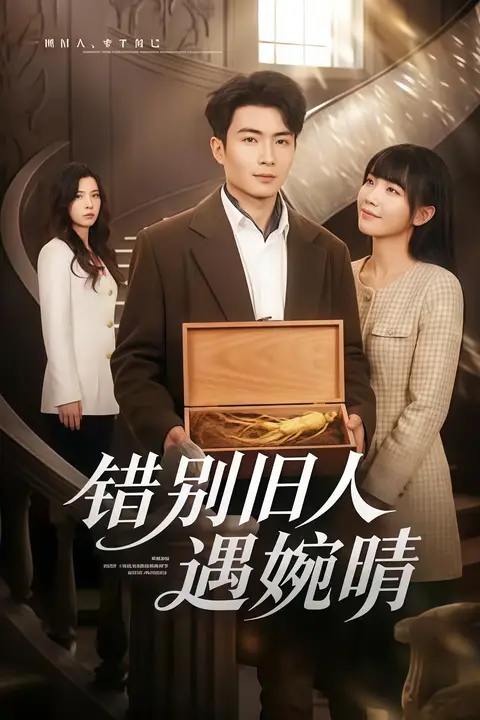 《惜别旧人遇婉晴》封面