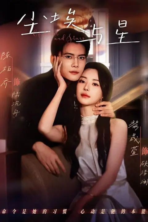 《尘埃与星》封面