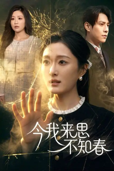 《今我来思不知春》封面