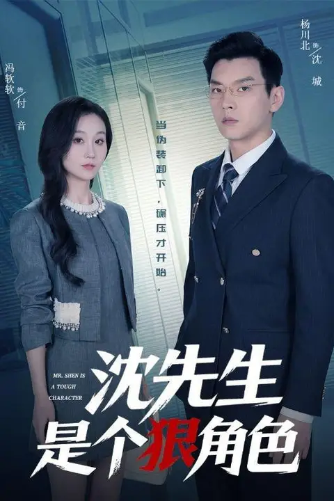 《沈先生是个狠角色》封面