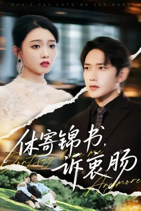 《休寄锦书诉衷肠》封面