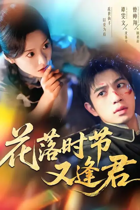 《花落时节又逢君》封面