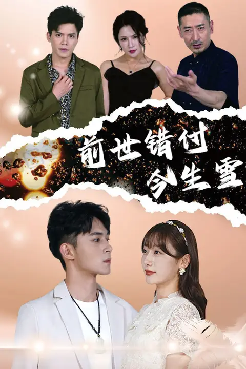 《前世错付今生雪》封面