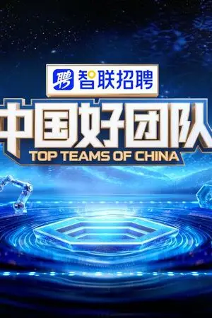 《中国好团队》封面