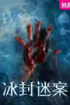 《冰封迷案》封面
