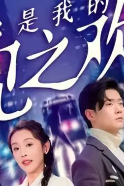 《你是我的乍见之欢》封面