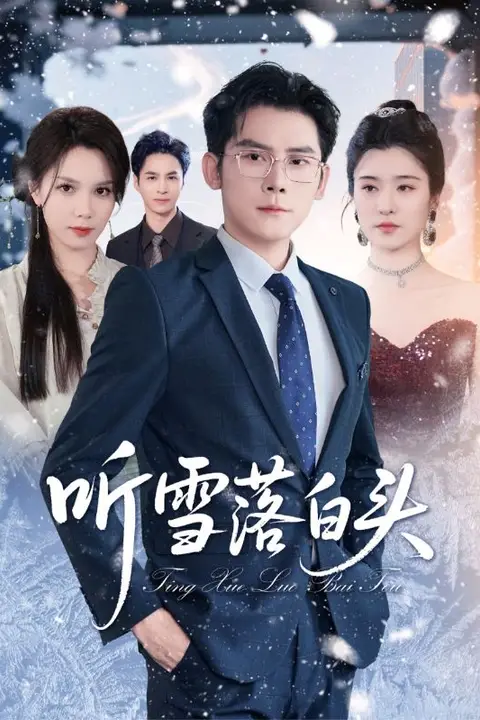 《听雪落白头》封面