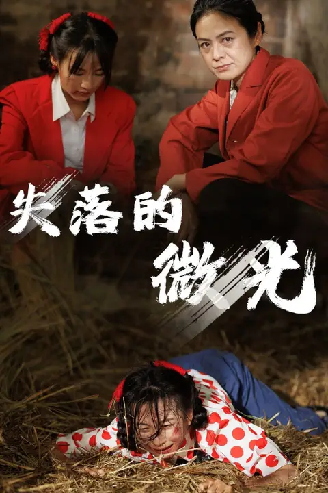 《失落的微光》封面