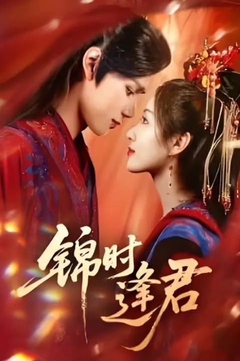 《锦时逢君》封面