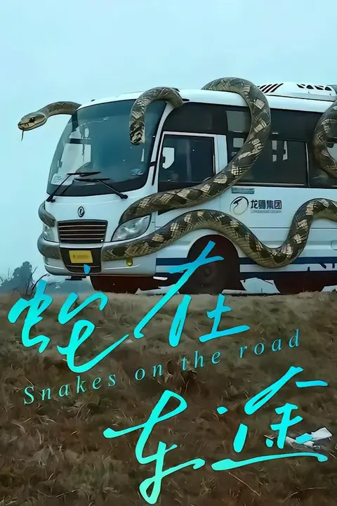 《蛇在车途》封面