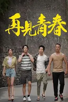 《再见青春》封面