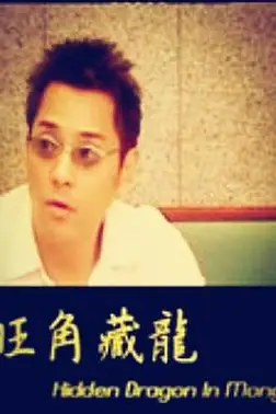 《旺角藏龙》封面