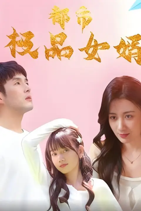 《都市极品女婿(都市逍遥女婿)》封面