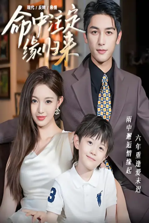 《命中注定缘归来》封面