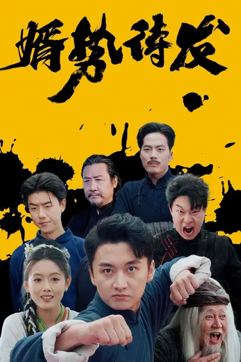 《婿势待发》封面