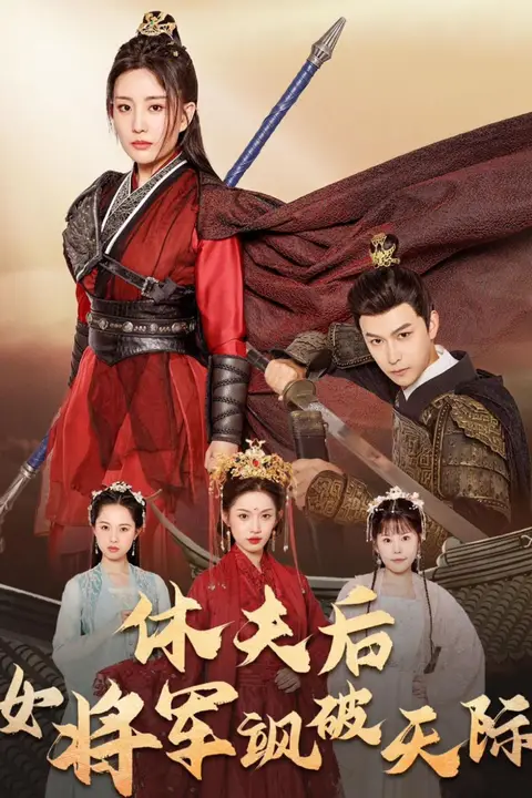 《休夫后女将军飒破天际》封面